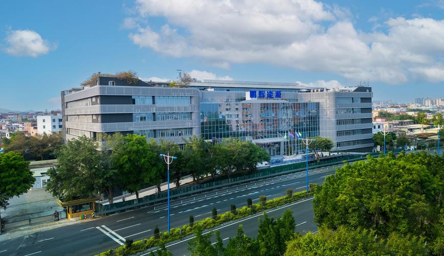 广州有哪些网站建设领域的标杆企业，能塑造未来并追求卓越的专业公司？