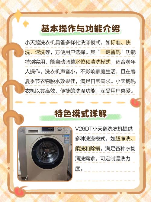 小天鹅全自动洗衣机自洁功能如何正确操作使用？