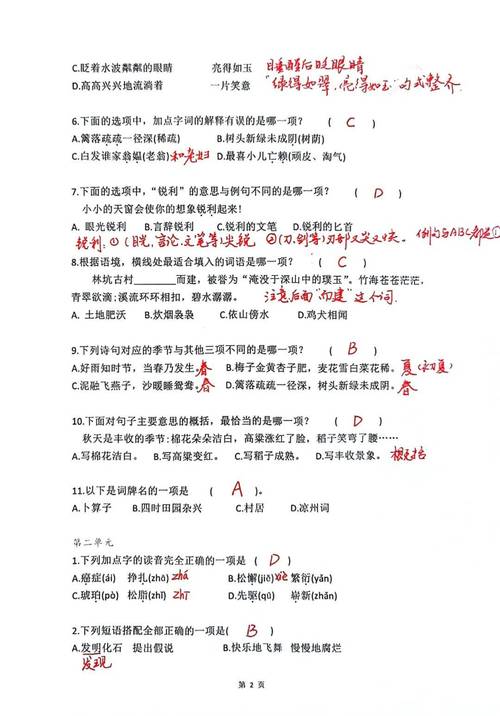 如何深度解析专业网站建设与优化之道，获取选择题答案详解？