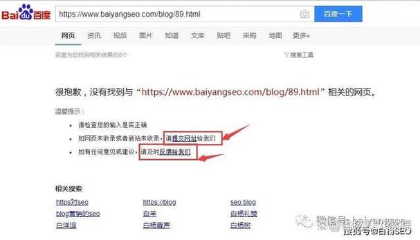 未备案网站如何被百度收录？揭秘百度收录未备案网站的神秘法则？