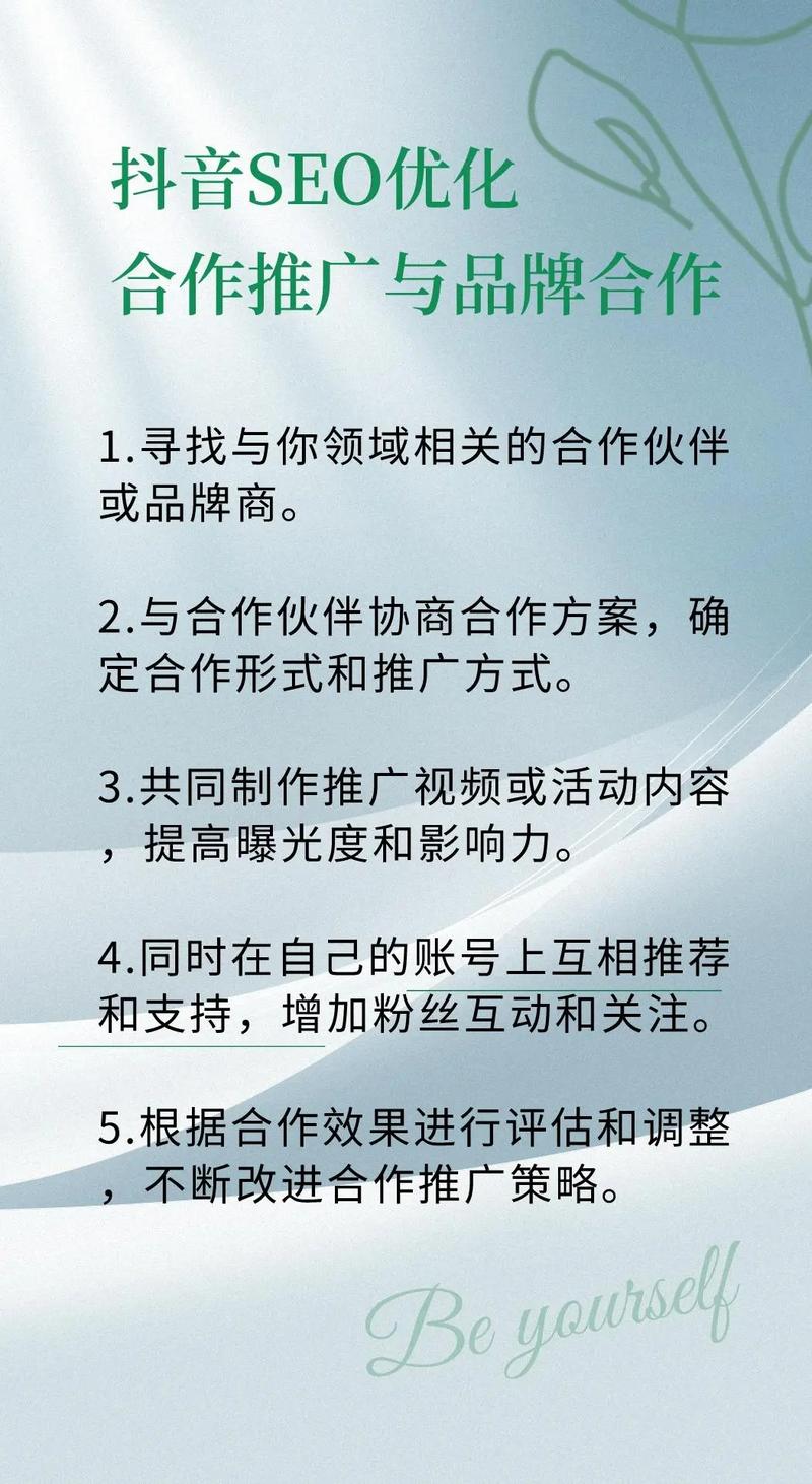如何通过SEO优化曲靖抖音视频内容，精准吸引更多目标观众？