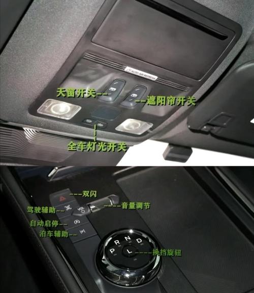 德尔福，如何聚焦正确的窗口？