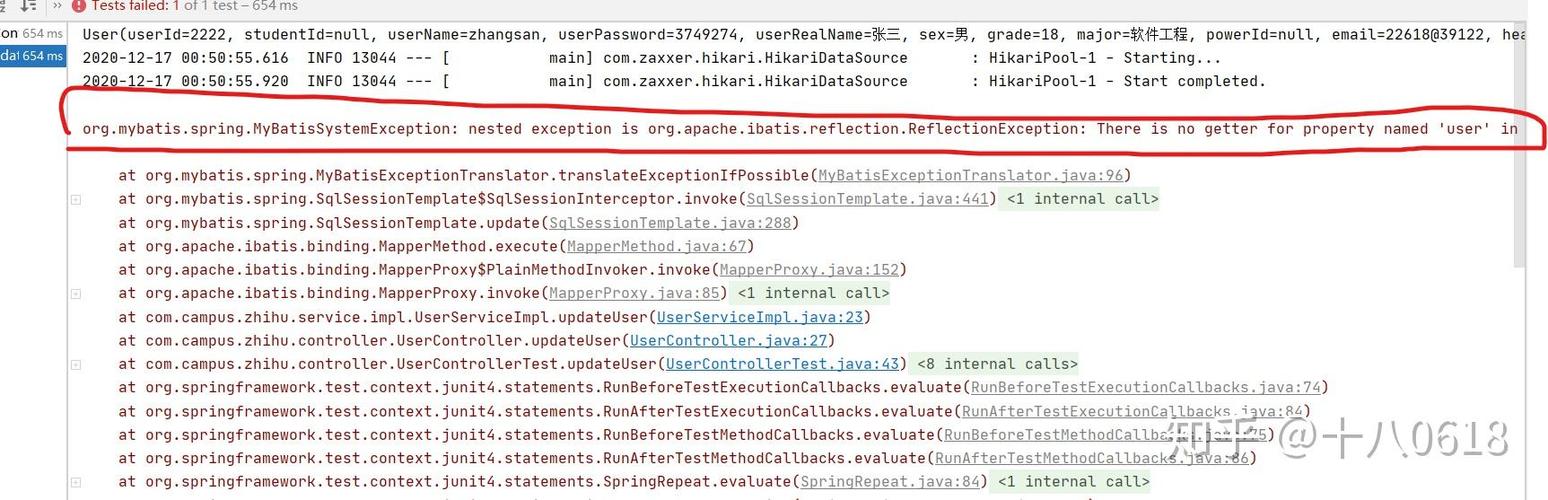 MyBatis中如何避免因@Param注解参数类型错误导致的异常问题？