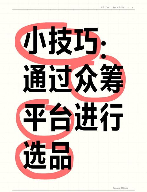 众筹活动如何通过电商领域的创新实现效益最大化？