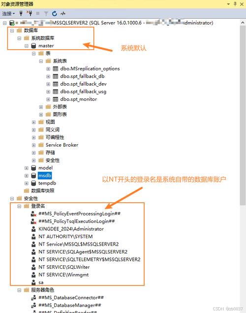 如何详细安装Windows系统下的Sqlmap环境？