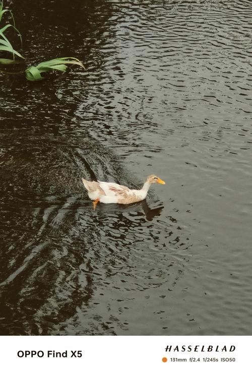 OPPO Find X5性价比高吗？这款手机值得入手吗？