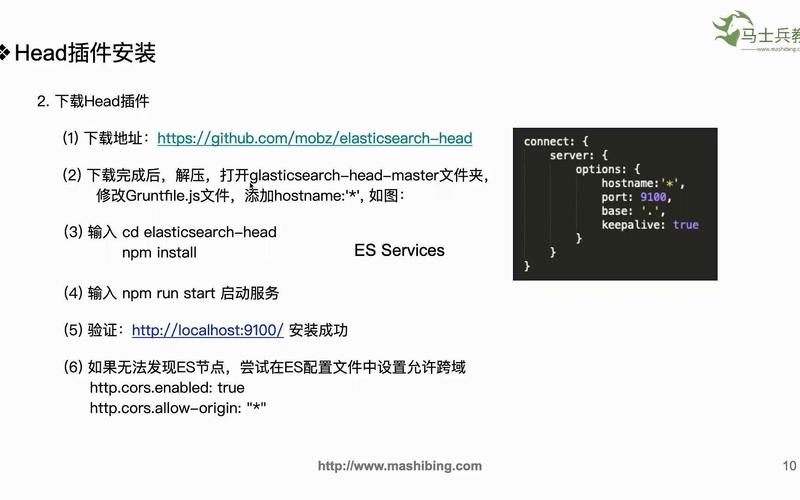 如何详细解析Elasticsearch Head的安装与操作步骤？