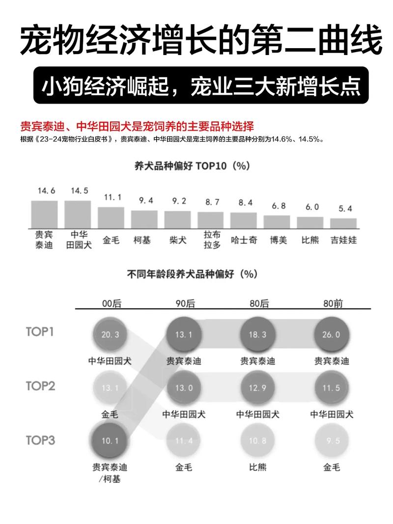 宠物经济如何催生创新，小宠如何带动大消费？