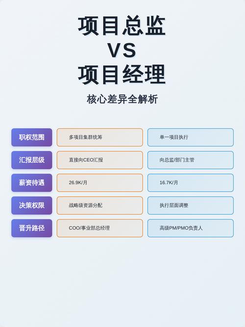 项目总监与项目总和总监职责有何具体区别？