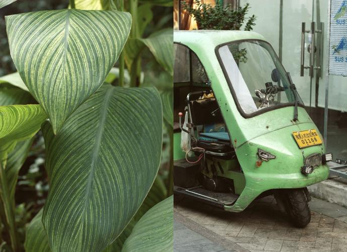 尼康D3200作为高端入门单反相机，性能如何？值得购买吗？