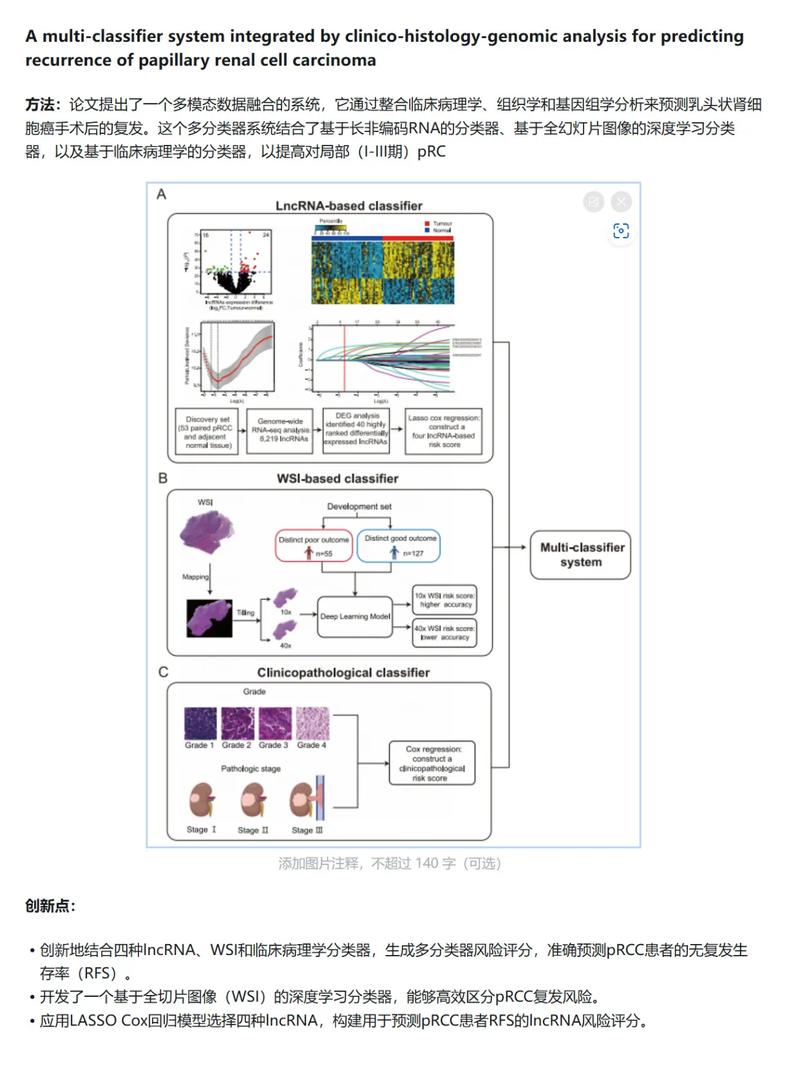 深度学习最近发现的详细分析报告，有哪些亮点和突破？