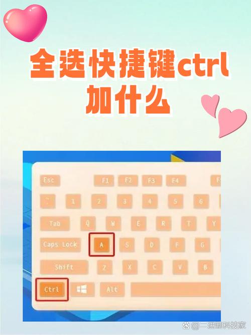 如何设置数据库取消全选的快捷键为Ctrl加什么键？