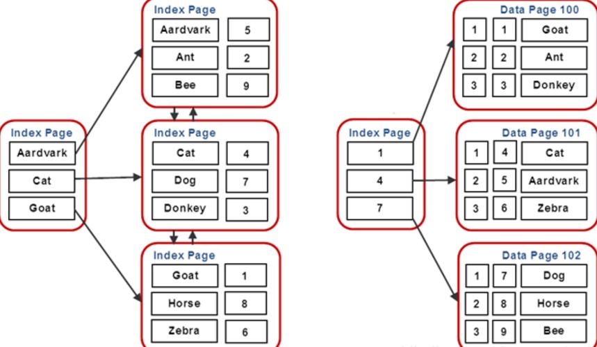 Lua中如何正确运用--- __newindex实现自定义索引操作？