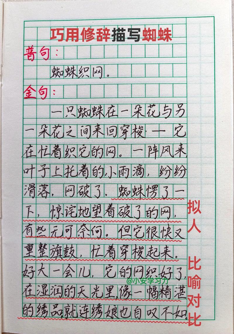 百度蜘蛛IP段揭秘,如何
为?