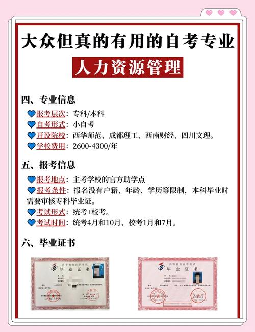 河南启博人力资源有限公司在安阳网站建设方面有哪些专业优势？