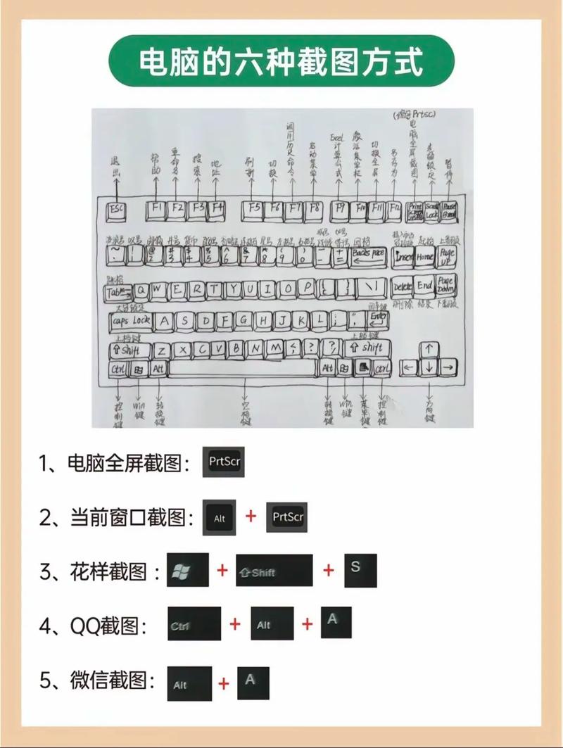 如何快速掌握初学者电脑基本常识，实现10分钟入门计算机基础？