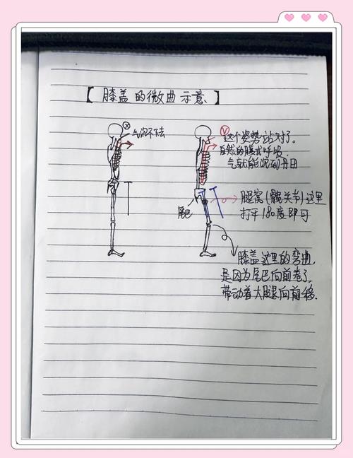 如何从新手到高手，全面掌握独立站的3种玩法实战路径？