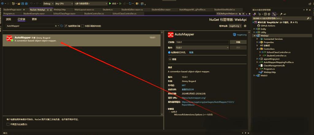 如何初始化.NET Core项目中的AutoMapper以实现对象映射的最佳实践？