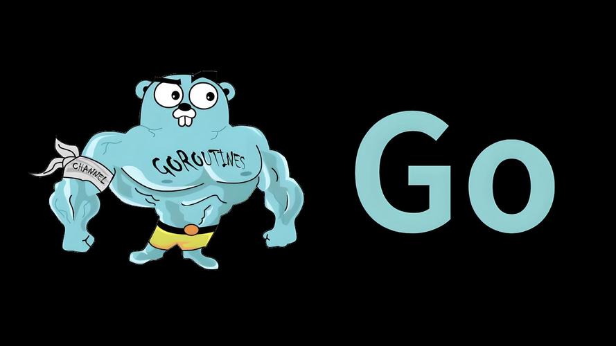 Golang语言特性中，有哪些安全编码与漏洞防范的秘诀？