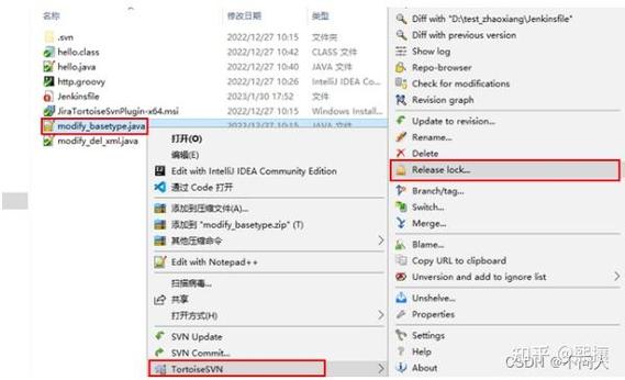 如何快速掌握TortoiseSVN的使用技巧？