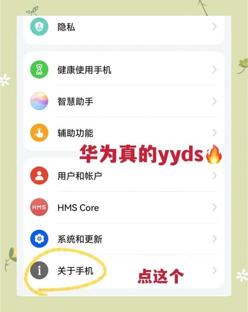 华为HCIEStorage的InfoTier是什么功能？