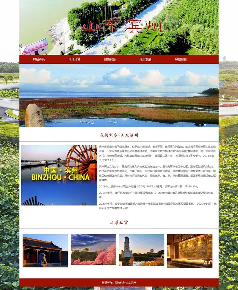 滨州专业网站建设详解，有哪些优势、考量因素和设计要点？