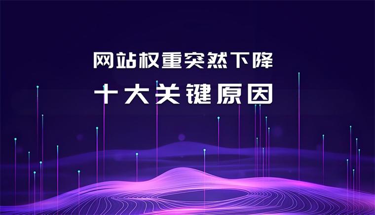 网站SEO优化时有哪些具体因素可能导致其权重下降？
