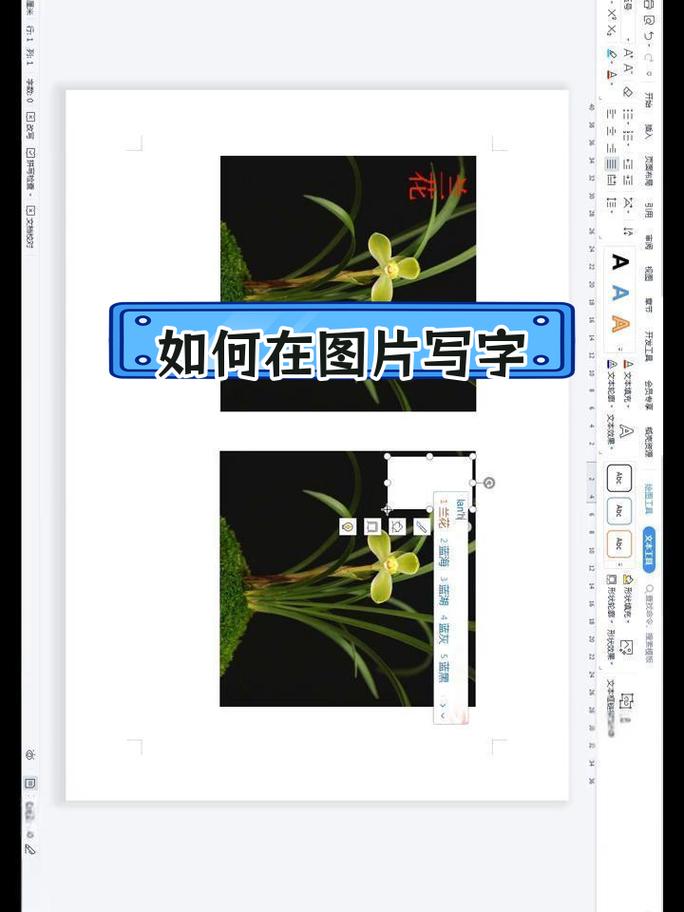 如何使用软件在图片上添加和编辑文字？