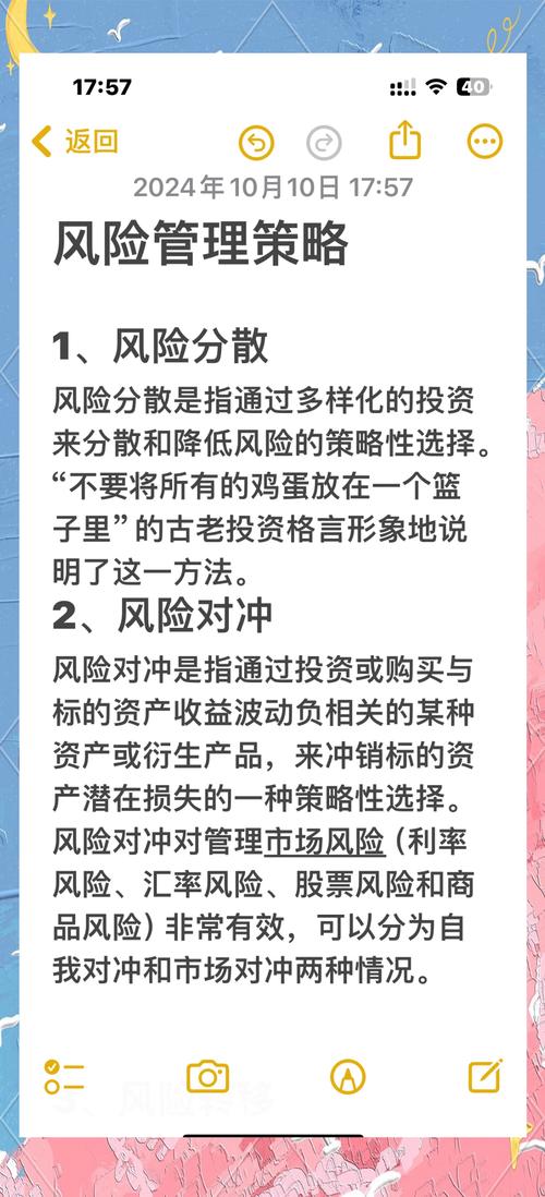如何规避跨境独立站黑五风险，制定有效策略并展望未来掘金方向？