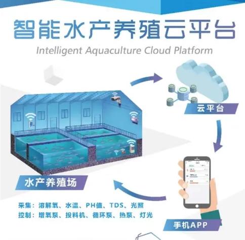 如何打造全面覆盖的水产养殖专业网站大全？