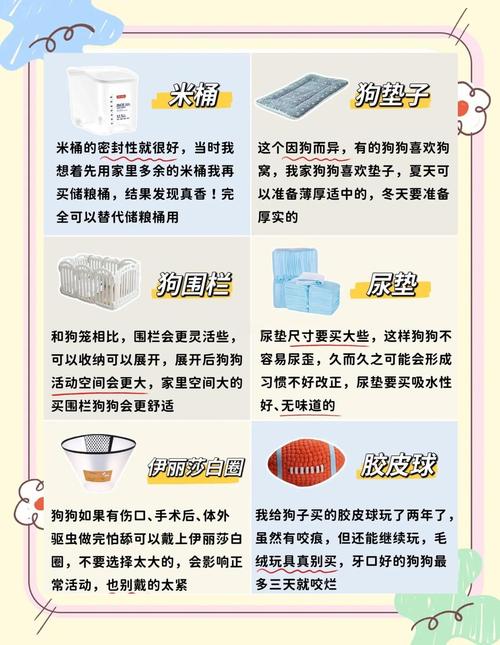 如何清晰规划独立站宠物用品的分类指南？