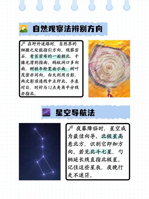 如何避免在亚马逊课程中选课迷路？自测指南推荐！