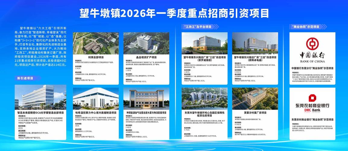 望牛墩产业SEO升级，如何聚焦产业新亮点实现精准营销？