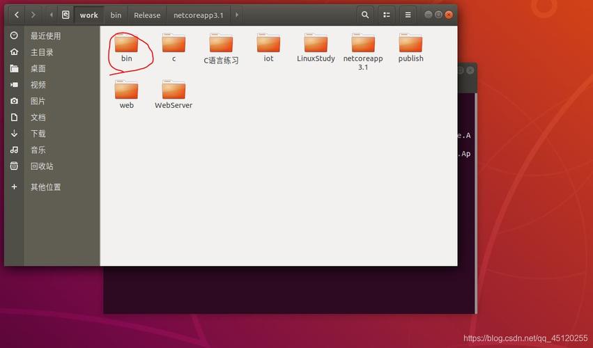 如何将ASP.NET Core应用程序成功部署到Linux服务器上？