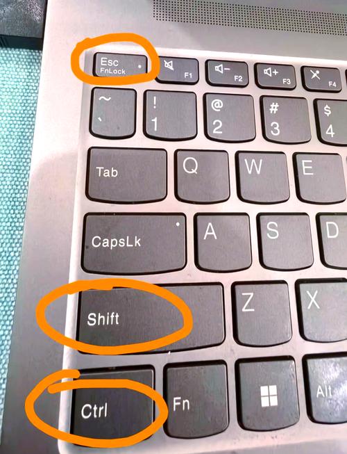 NancyFx框架中如何详细探究任务管理器的使用技巧？