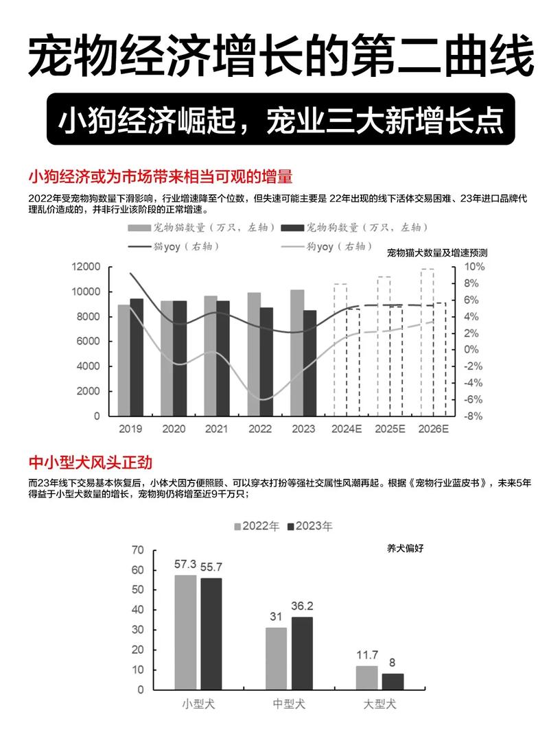 宠物经济如何催生创新，小宠如何带动大消费？