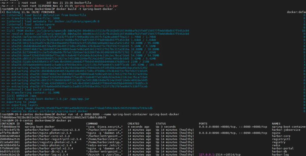 Docker与Spring Boot，难道不是现代化应用开发的首选技术栈吗？
