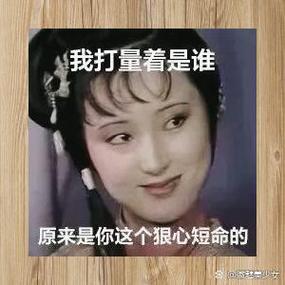 为何QQ表情如此丰富，能否一一列举其背后的长尾词疑问？