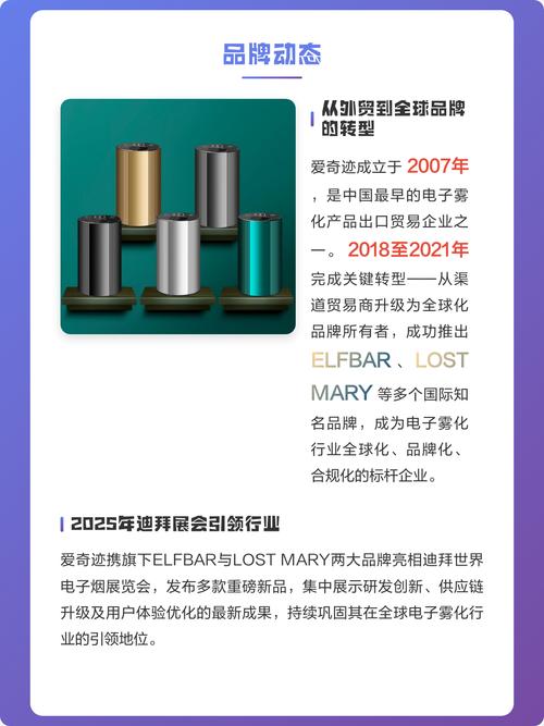 海外电子烟独立站，是否成为品牌出海时代外贸的新引擎？