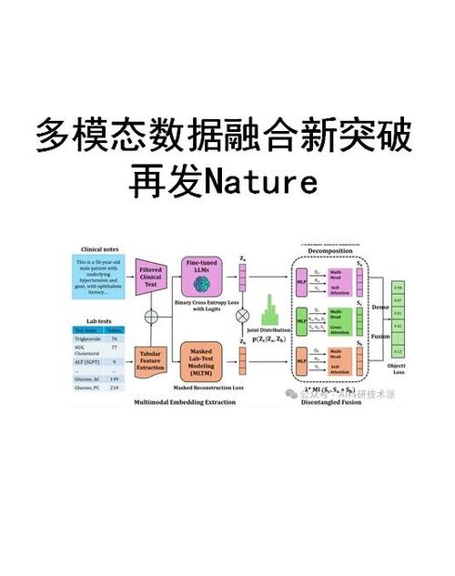 如何深入理解Halo开源项目中的实体类与数据表关联？