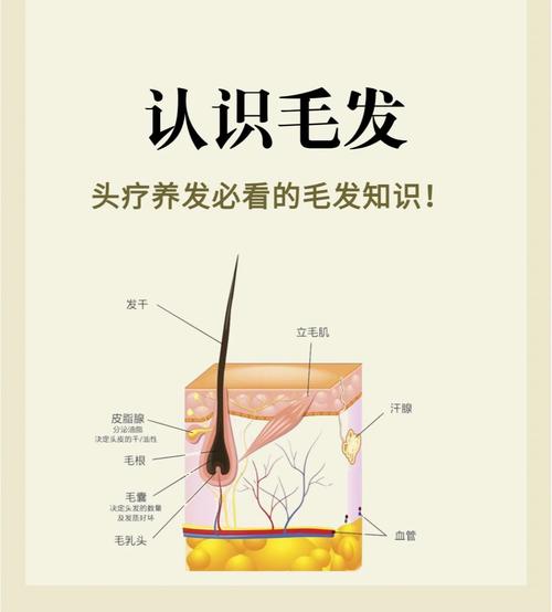 难道不是所有的生物都有毛发吗？