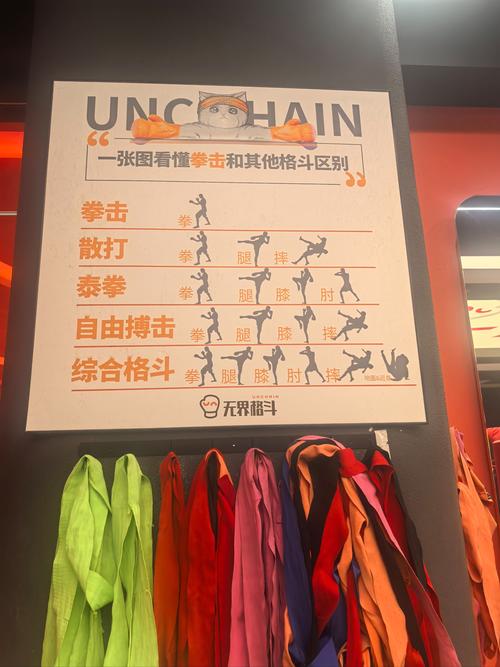 各种格斗项目之间的差异究竟有多大？