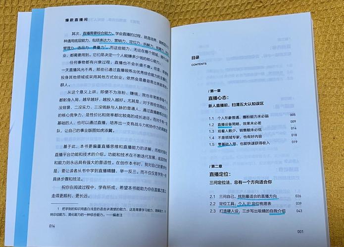 新主播冷清抖音爆款揭秘，背后有哪些不为人知的制作技巧？