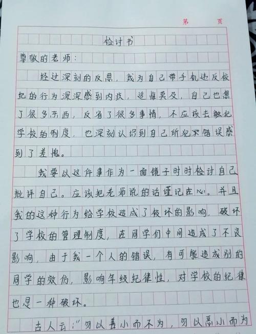 我女儿和项目设计都丢了吗？检讨感想如何改写？