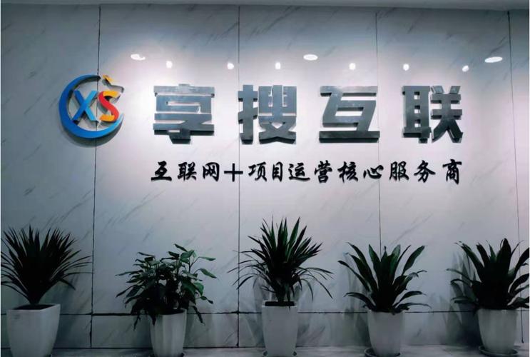 枞阳县哪里能找到专业的本地SEO服务商？