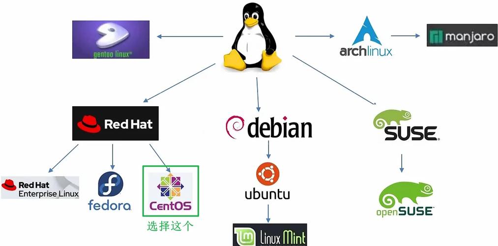如何根据个人需求选择最匹配的Linux发行版呢？