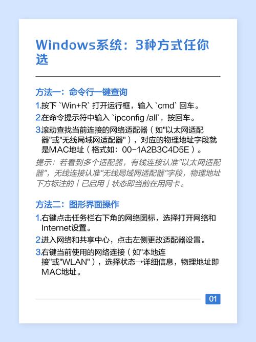 如何快速查询并获取自己电脑的MAC地址信息？
