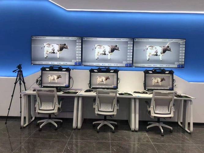 畜牧虚拟仿真3D交互展示应用如何为学生提供高逼真、安全的场景模拟实验环境？