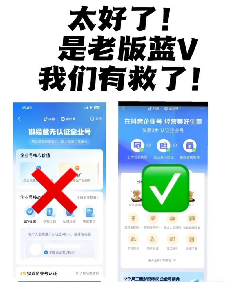 选择蓝V还是企业号？全面考量需求，专业蓝V与企业号，哪个更适合您的需求呢？