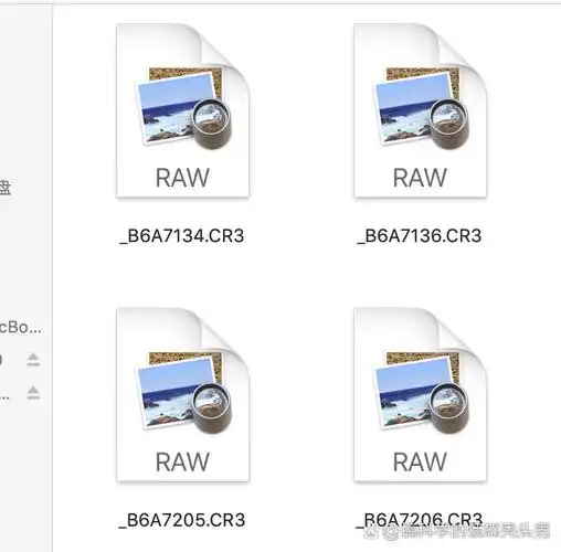 cr3文件是什么特定格式的文件？